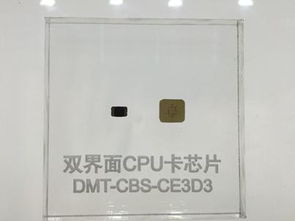 大唐微電子與晶科微電子 創(chuàng)新科技亮相2017第九屆深圳國際物聯(lián)網(wǎng)博覽會