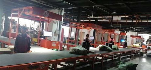 數字化引擎驅動，圓通科技賦能迎戰雙十一高峰